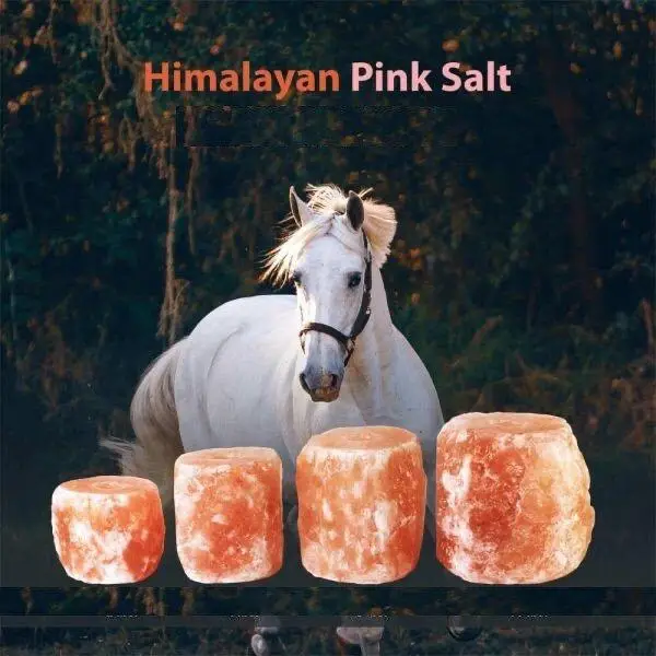 animal lick salt